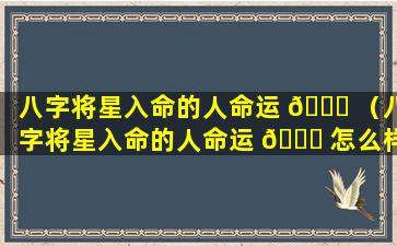 八字将星入命的人命运 🐅 （八字将星入命的人命运 🐝 怎么样）